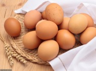 تولید تخم مرغ های ضد سرطان