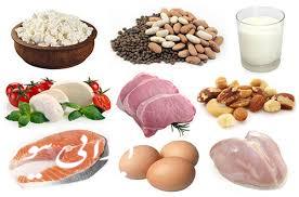 منابع سالم پروتئین ها کدامند ؟