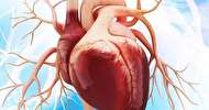 اختلالات در عروق کرونر و سکته قلبی
