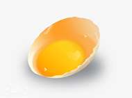 چگونه تخم مرغ تشکیل میشود؟