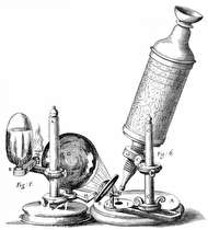 چه کسی میکروسکپ را اختراع کرد؟