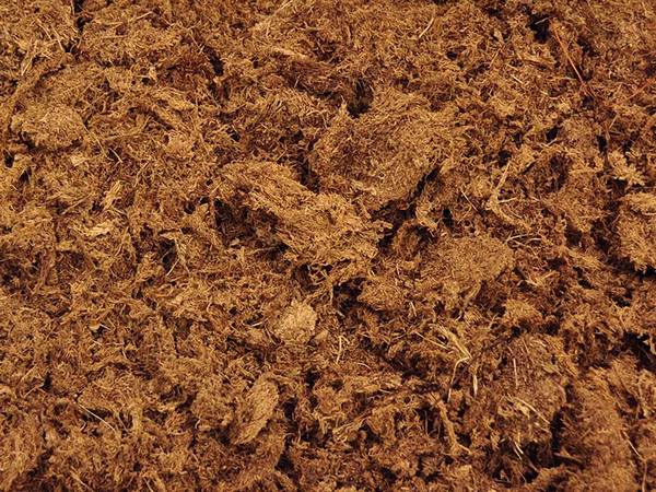 خاک پیت ماس چیست و چه ویژگی‌هایی دارد