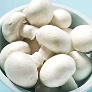 مصرف قارچ سفید مناسب برای افراد دیابتی
