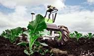 رباتی کم هزینه برای اثبات وقایع و کمک به زمین زراعی