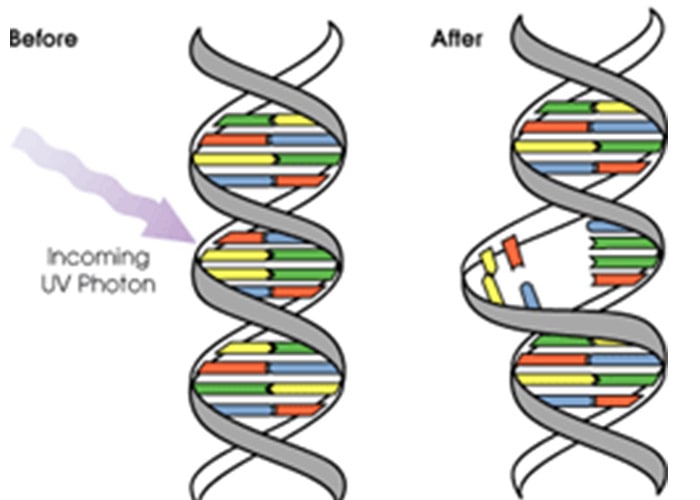 تخریب DNA با نور 