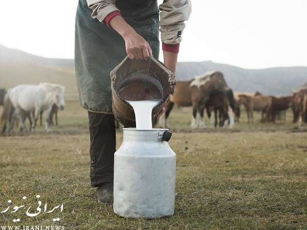 خواص شیر مادیان در طب سنتی