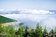 جنگل ابری شاهرود یک مکان بسیار جالب