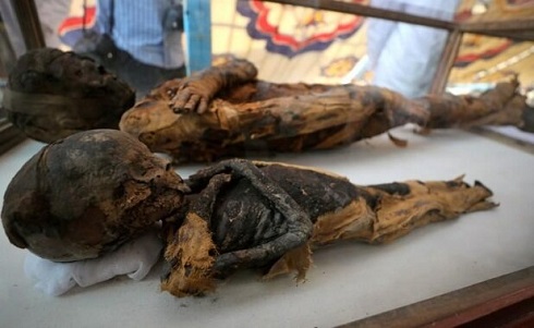 کشف اجساد مومیایی در مقبره باستانی مصر