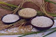 تعبیر خواب برنج دیدن - دیدن برنج در خواب چه تعبیری دارد؟