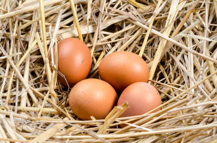 خواص تخم مرغ برای سلامتی بدن