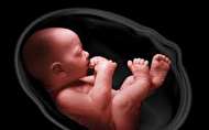 روشهای تشخیص مدفوع جنین در رحم مادر چگونه است