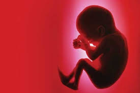 اهدای تخمک و جنین از روش‌های پیشرفته درمان ناباروری