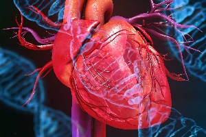 بیماری های قلبی، تهدید اصلی سلامت