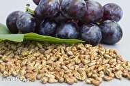 چرا عصاره دانه انگور برای شما مناسب است؟