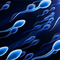 اسپرم مردان و تاثیر نوشابه بر کیفیت اسپرم